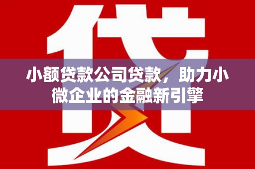 湘桥小额贷款公司贷款，助力小微企业的金融新引擎