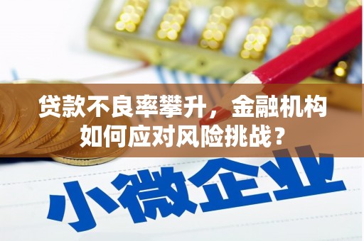 湘桥贷款不良率攀升，金融机构如何应对风险挑战？