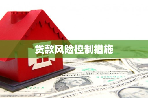 湘桥贷款风险控制措施