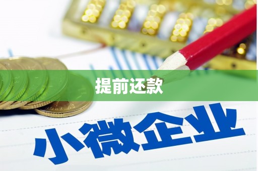 湘桥提前还款
