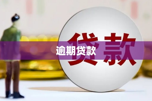 湘桥逾期贷款